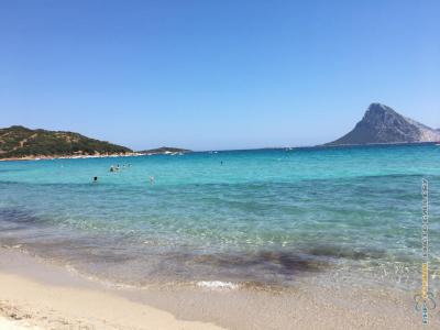 Sardegna